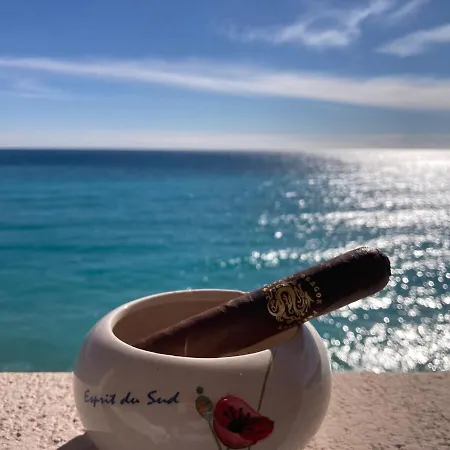 Bellevue Palace Appartement